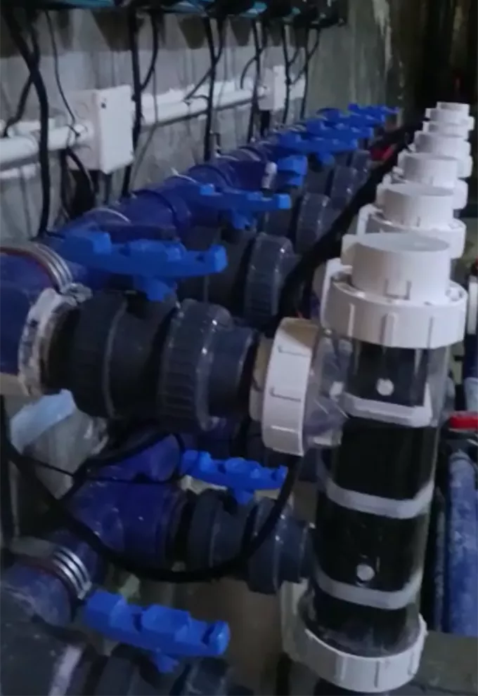 wholesale replacement salt cells | manufacturer and supplier in china