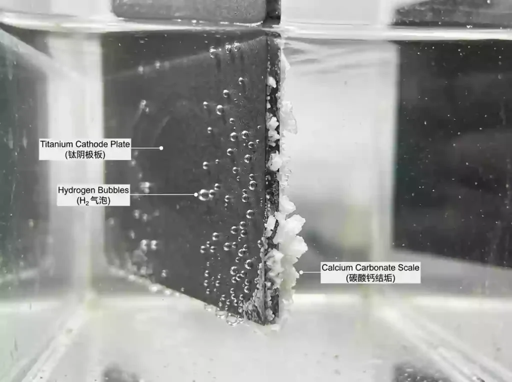Mechanism of Scale Formation